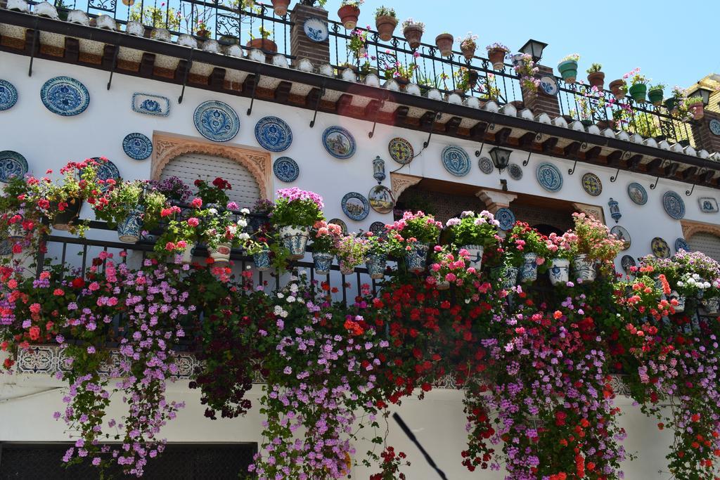 Carmen De Ramilla, Encantadora Guesthouse Con Piscina Soleada Granada Eksteriør billede