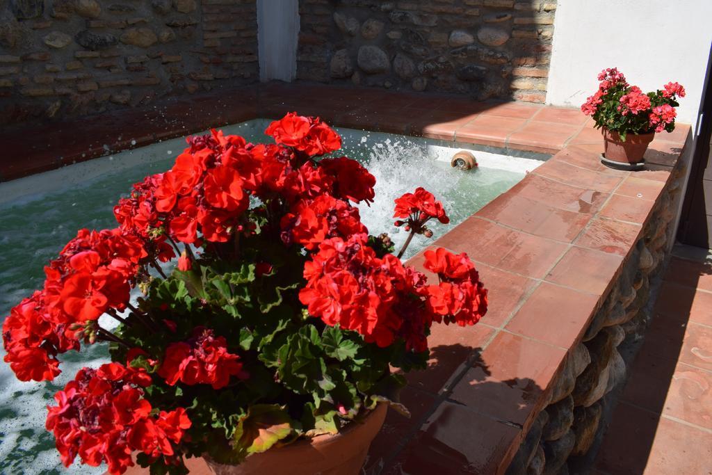 Carmen De Ramilla, Encantadora Guesthouse Con Piscina Soleada Granada Eksteriør billede