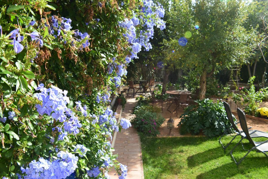 Carmen De Ramilla, Encantadora Guesthouse Con Piscina Soleada Granada Eksteriør billede
