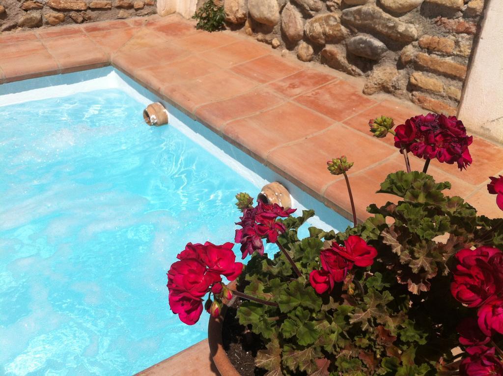 Carmen De Ramilla, Encantadora Guesthouse Con Piscina Soleada Granada Eksteriør billede